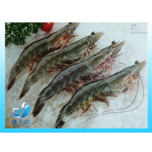 Frozen whole live vannamei prawn/shrimp